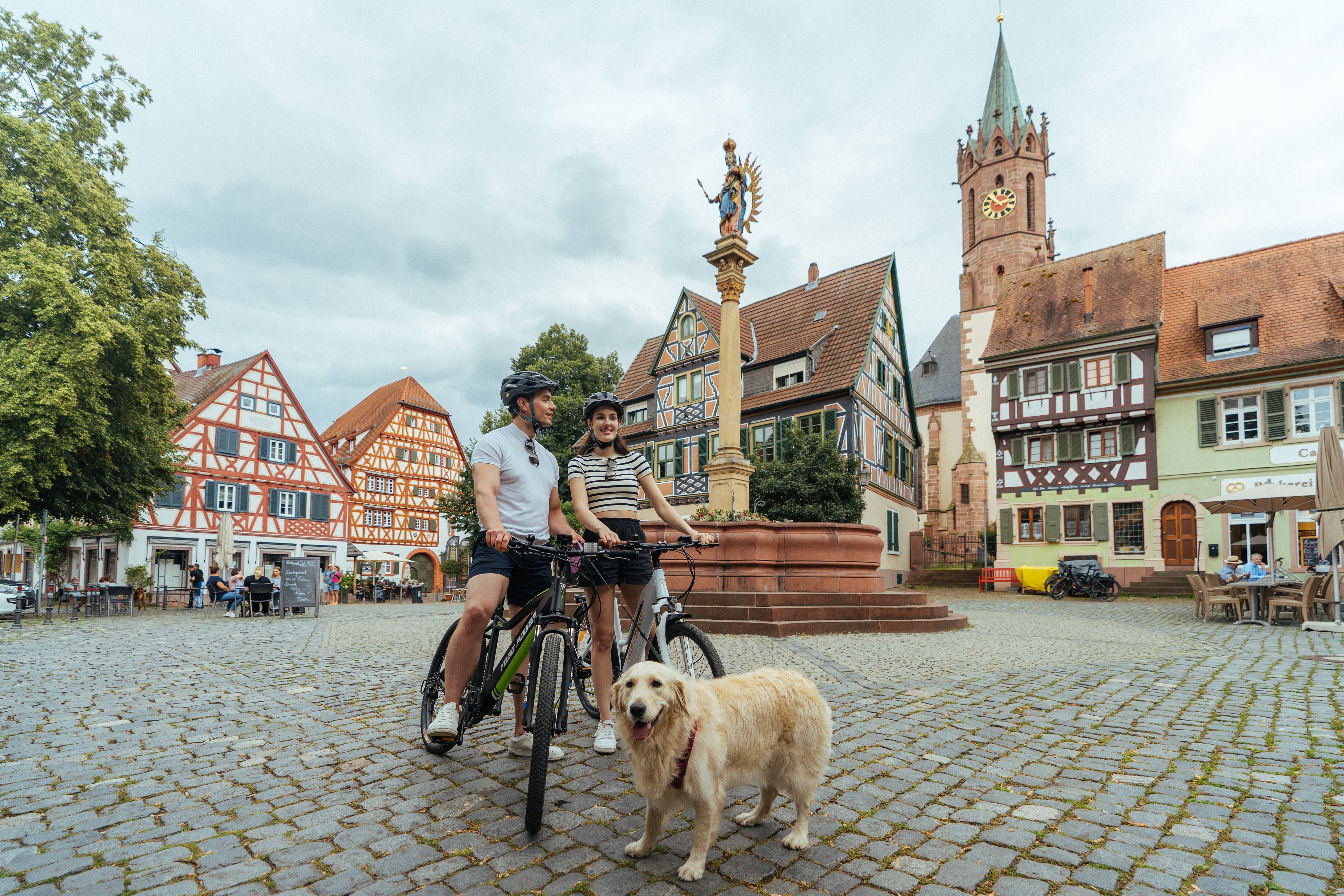 How to Own an E-Bike with Low Costs?