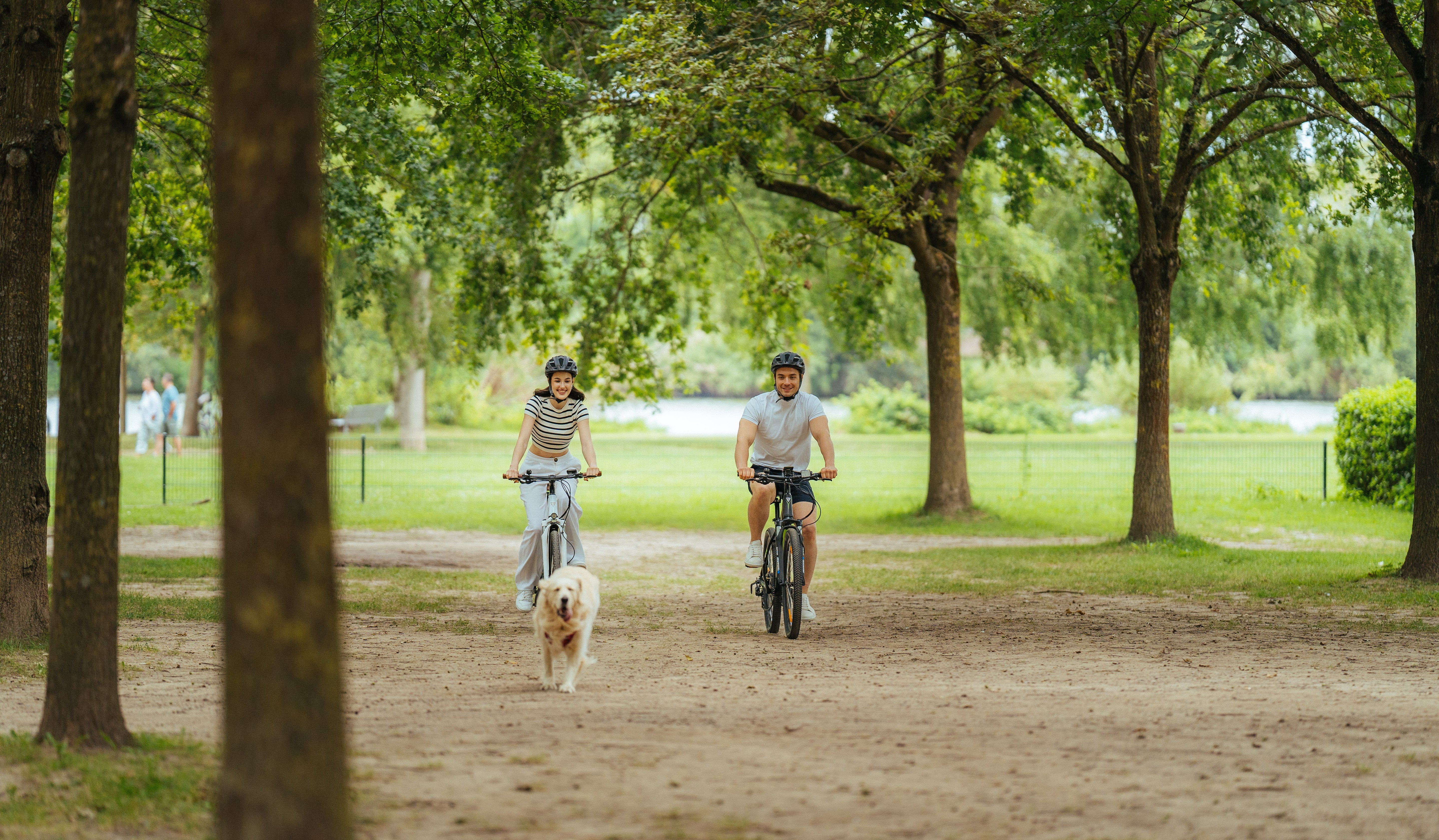 Purchase Instructions for Electric Bikes