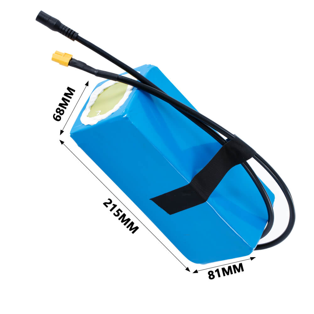 36V 10.4Ah(385Wh) Li-ion Battery Pack with Charger E-Bike Accu Pack