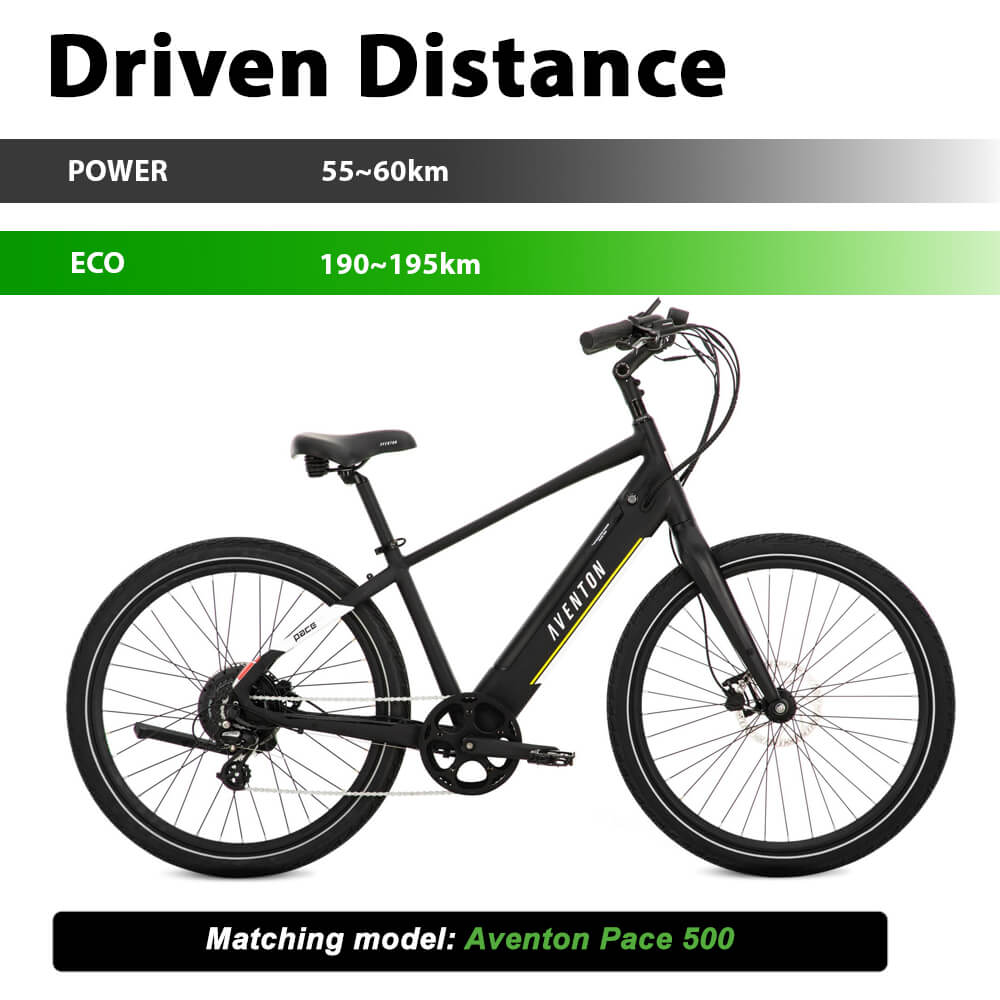 48V13Ah/16Ah Reention Dorado-Plus Li-Ionen-Akku für E-Bike NCM, LLobe, Fitifito, DeHawk