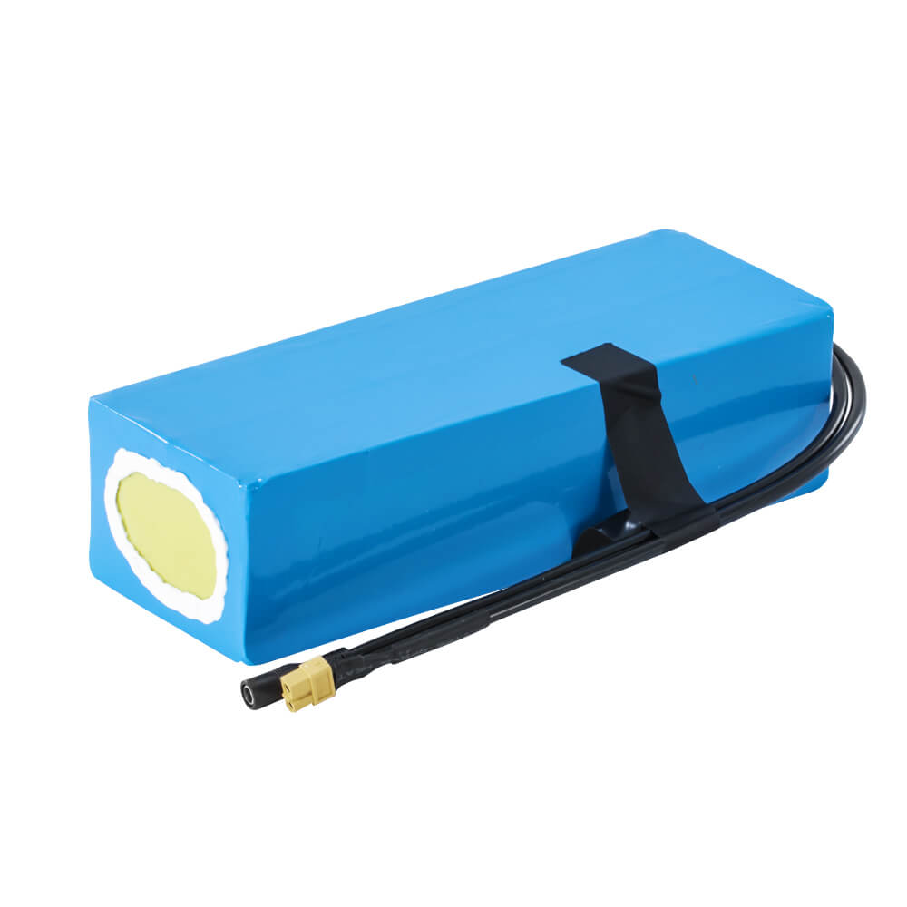 48V 13Ah(625Wh) Li-ion Battery Pack with Charger E-Bike Accu Pack
