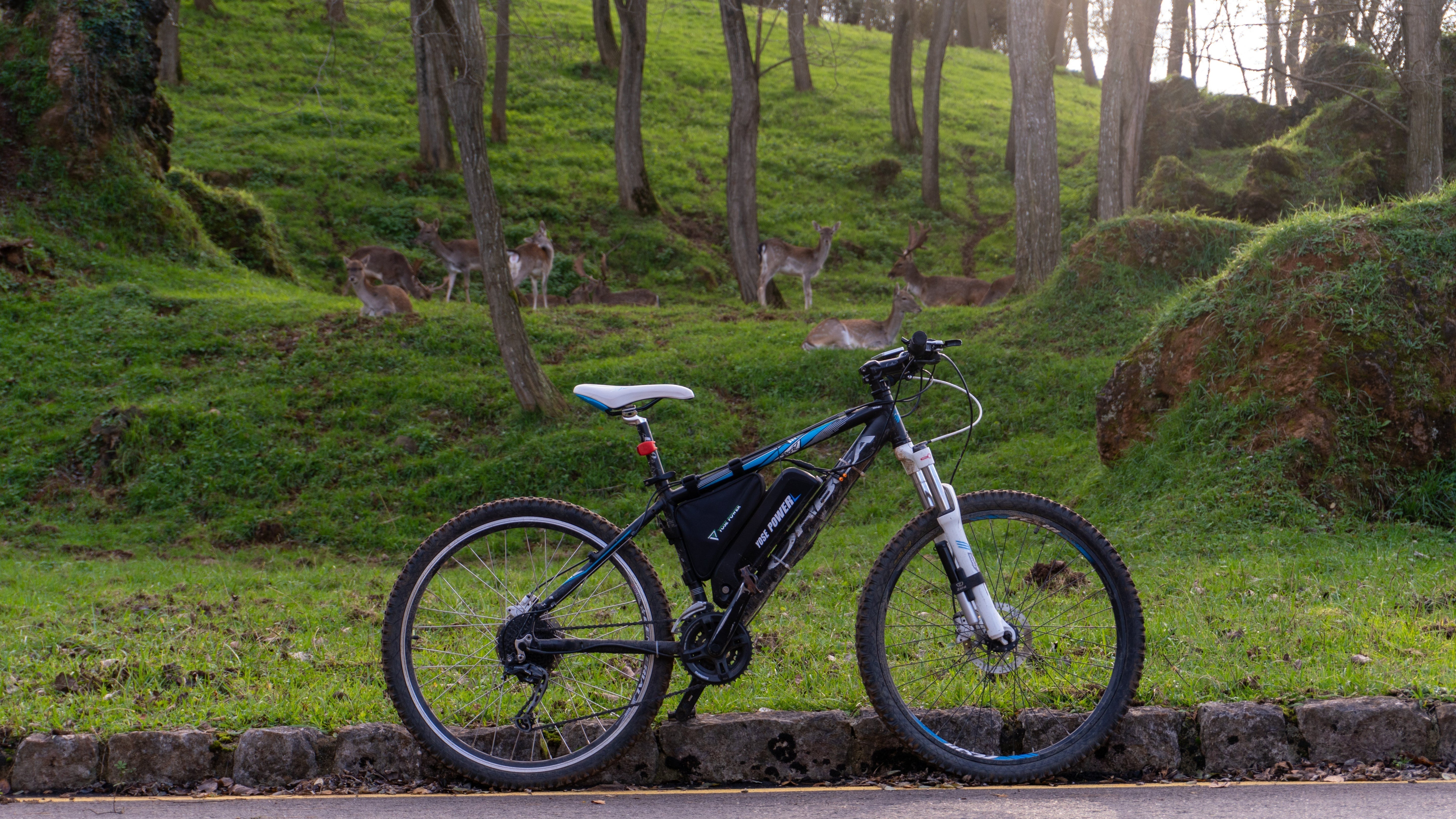 Great Father's Day Deals: Save €100 on E-Bikes & Up to 15% Off Kits!