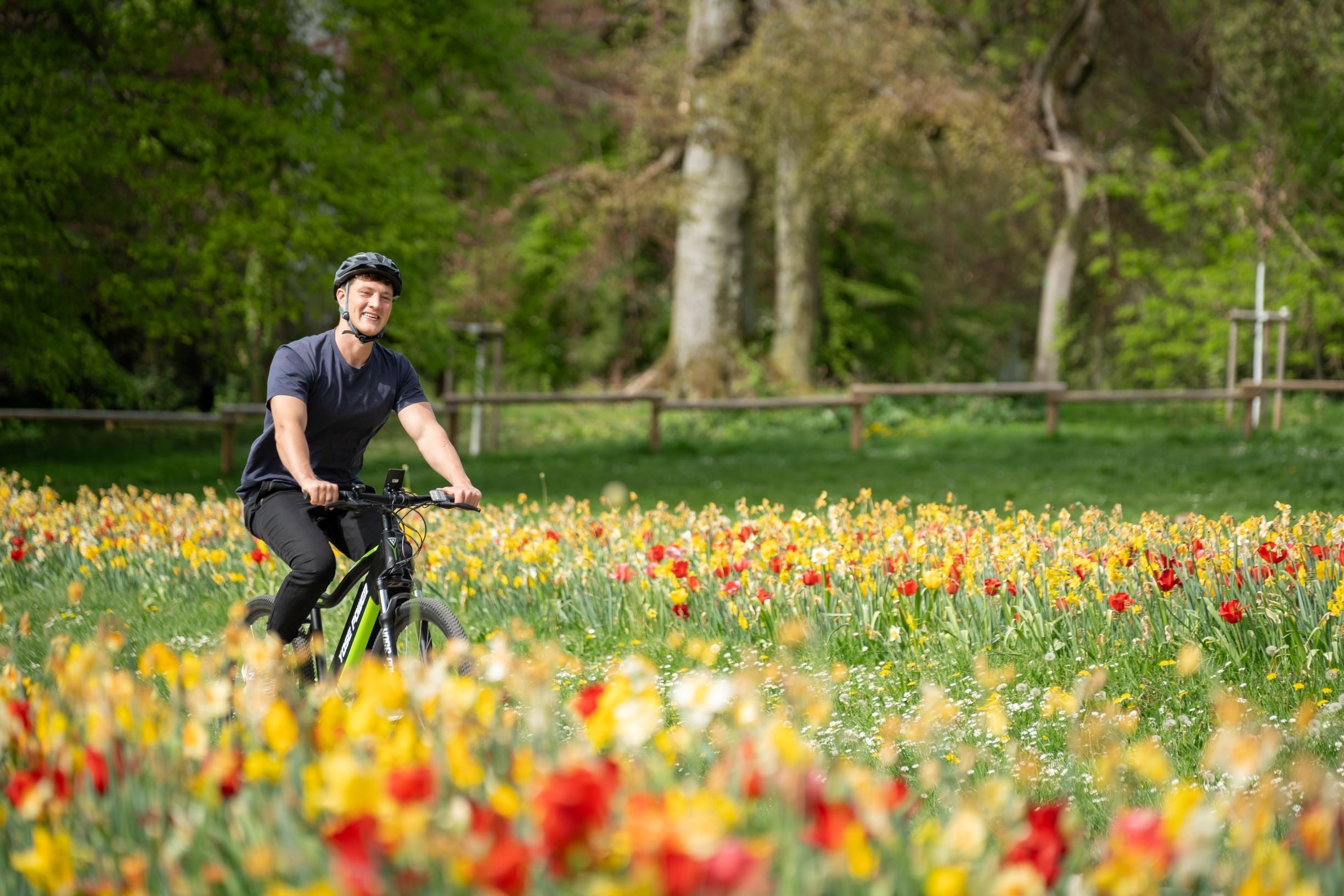Harmonious Coexistence Between E-Bikes & Urban Developments