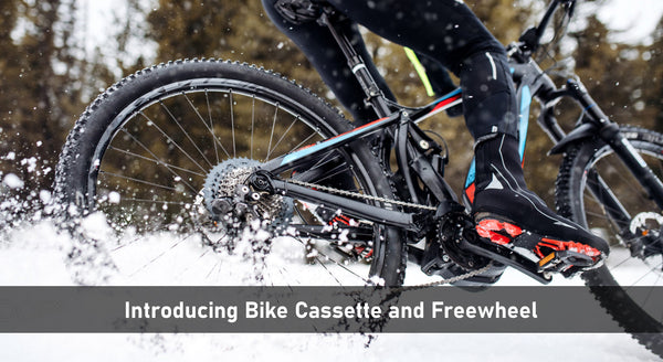 Introducing Bike Cassette and Freewheel