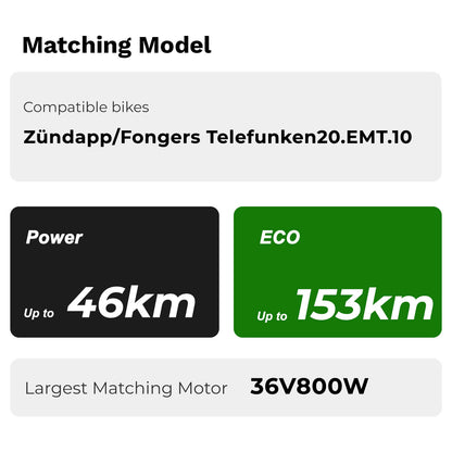 Batteria agli ioni di litio per bici elettrica da 36V 12,8Ah (473Wh) per portapacchi posteriore senza caricabatterie per Pedelec Zündapp Fongers Telefunken Provelo