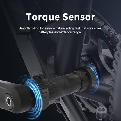 Yose Power Mountain E-Bike with Torque Sensor Summer B01-T BLK