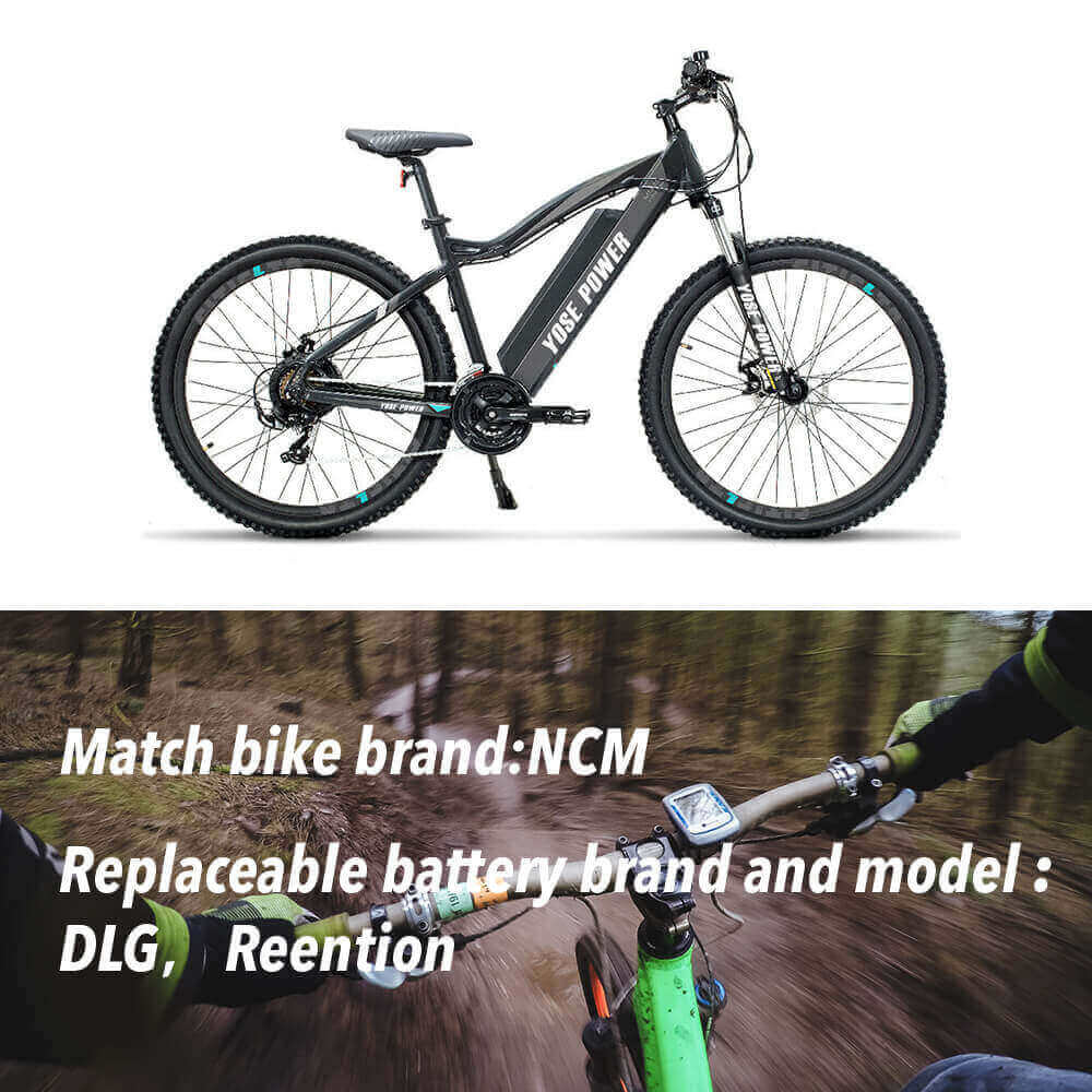 Battery replaceable bike and battery brand 