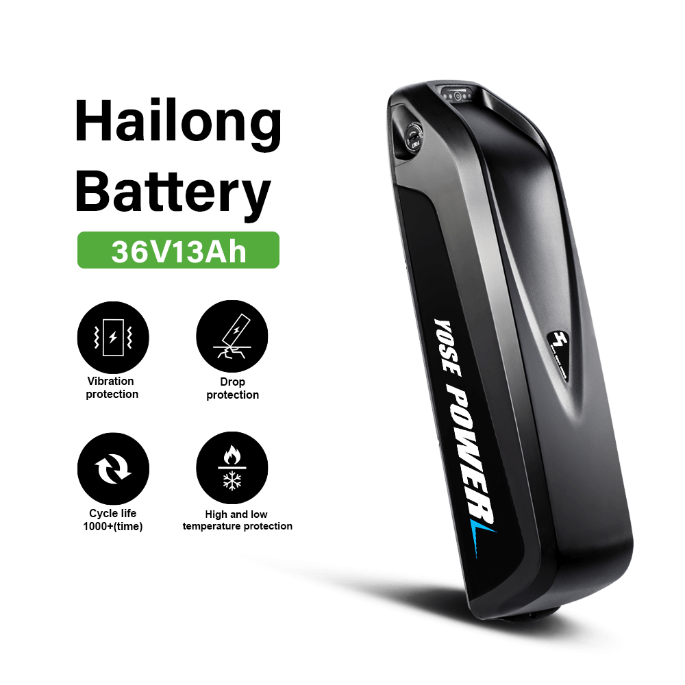 Hailong Battery detail introduction 