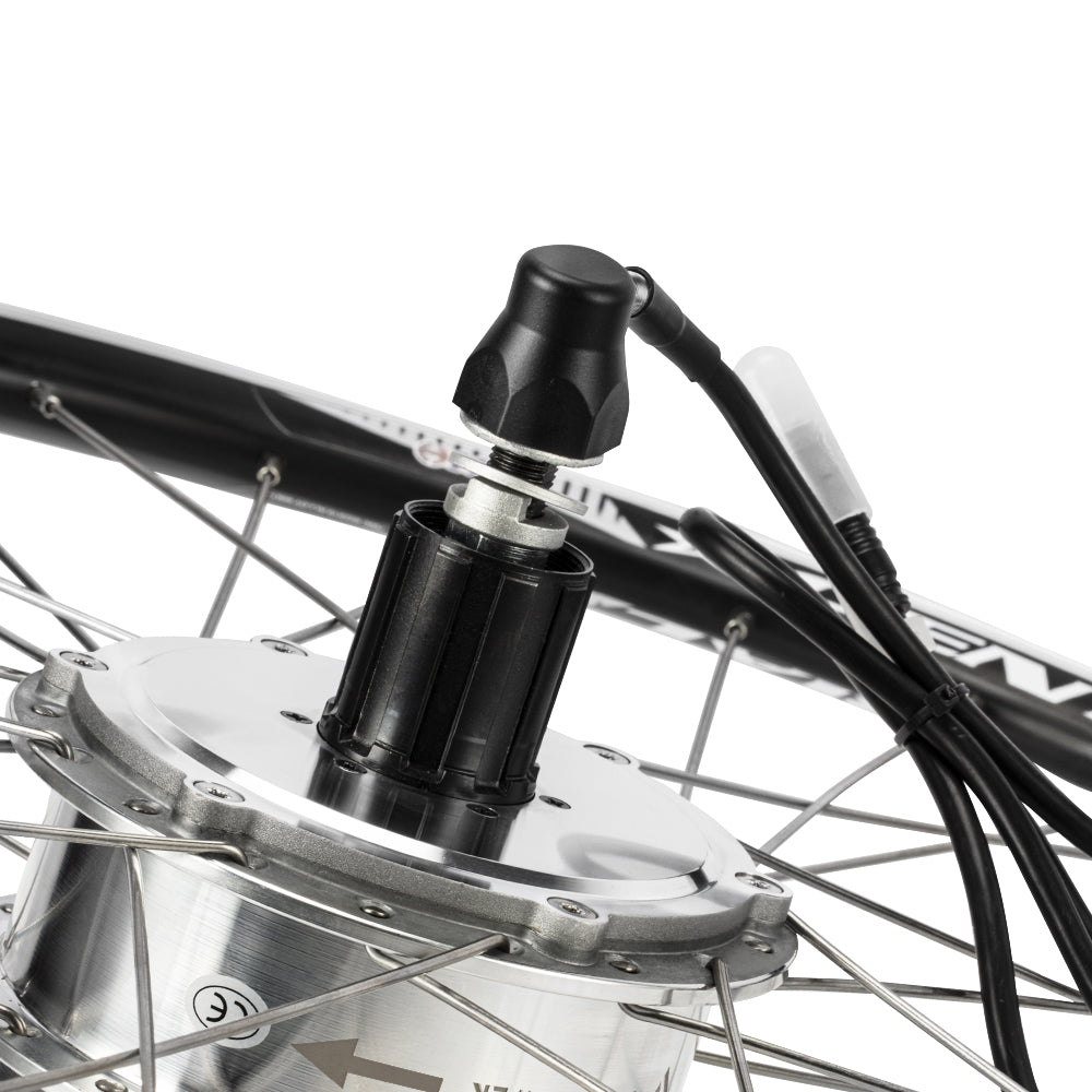 Bike with a motor sales